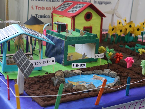 Project Expo