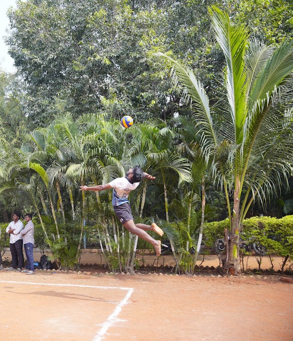 Volley Ball